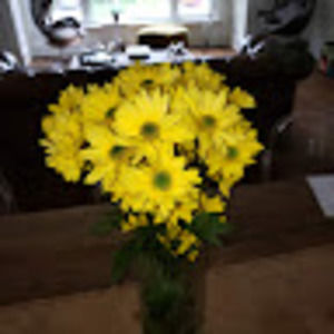 Meet your Posher, Sibel